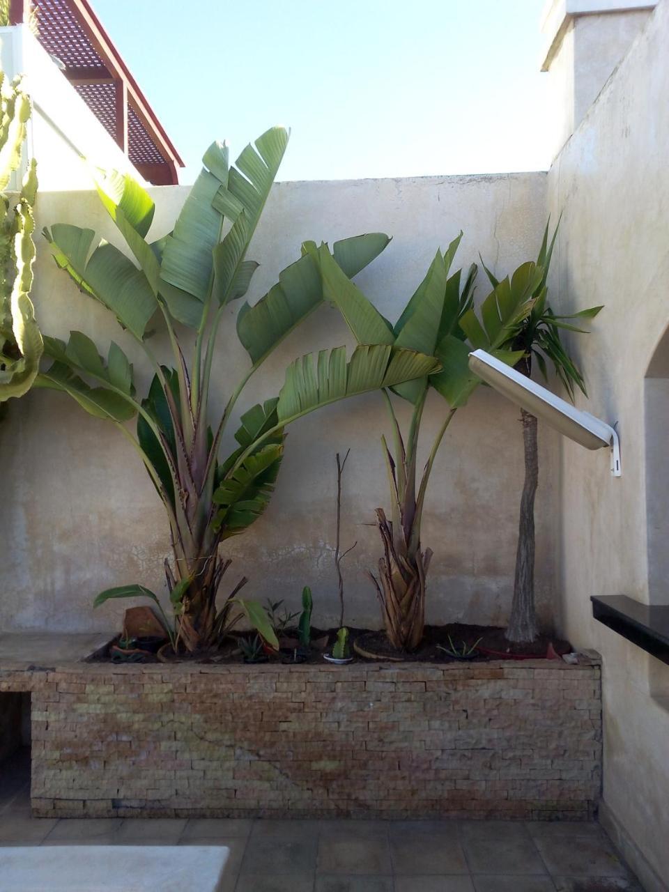 Riad La Villa & Spa El Jadida Exterior foto